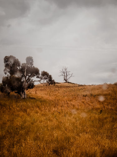 Customer photo review of INSTA BLACK