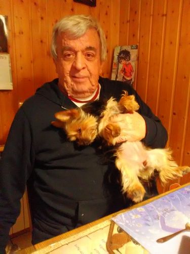 Customer photo review of Collier Anti Aboiement PuppySafe