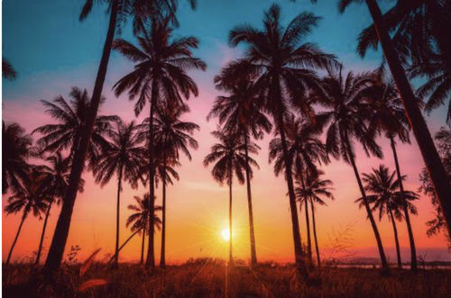 Customer photo review of Personalized Wallet