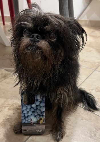 Customer photo review of No One Came