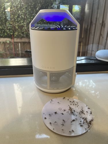 Customer photo review of Quash UV Indoor Insect and Mosquito Trap - White