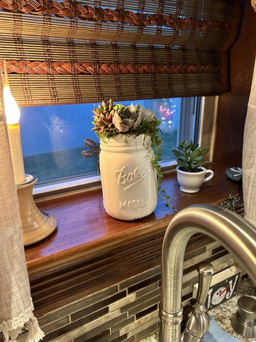 Customer photo review of The Mason Jar | Succulent Gift