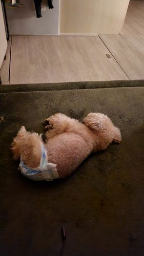 Customer photo review of Momomi® Mat (Olive)