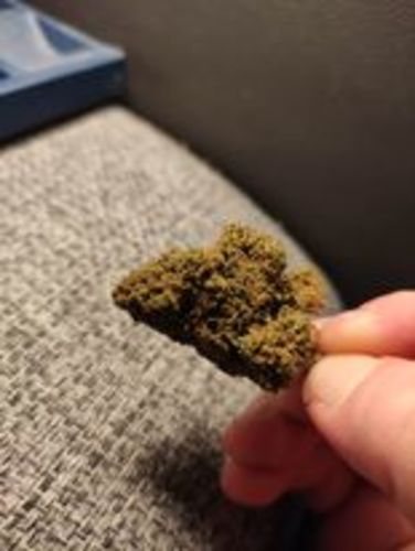 Customer photo review of Cream Caramel •Mr Kush Selection