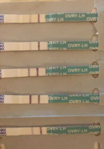 Customer photo review of Ovulation Test Strips