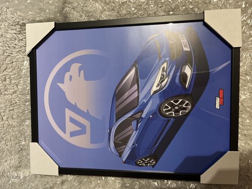 Customer photo review of Poster