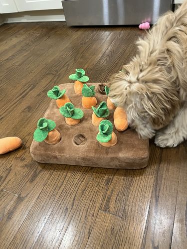 Customer photo review of Carrot Farm