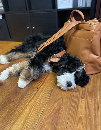 Customer photo review of The Square Diaper Bag - Brown