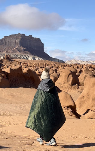 Customer photo review of Waterproof Sherpa Blanket