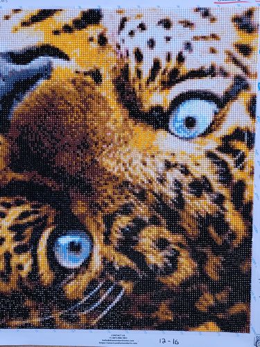 Customer photo review of Custom Diamond Painting Kits for Adults DIY 5D - Photo Diamond Art Shipped from USA