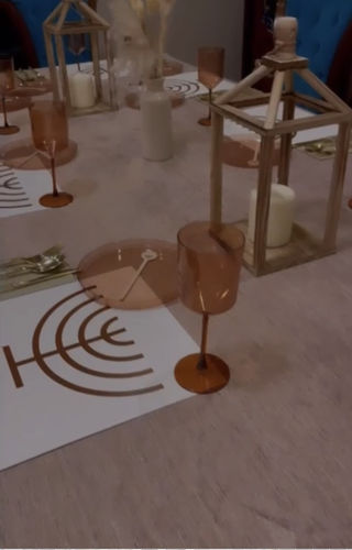 Customer photo review of Round Transparent Rose Walled Plastic Plate | 10 Pack