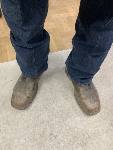 Customer photo review of All Day Insoles