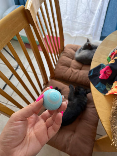 Customer photo review of Magico™ Magic Ball für Katzen