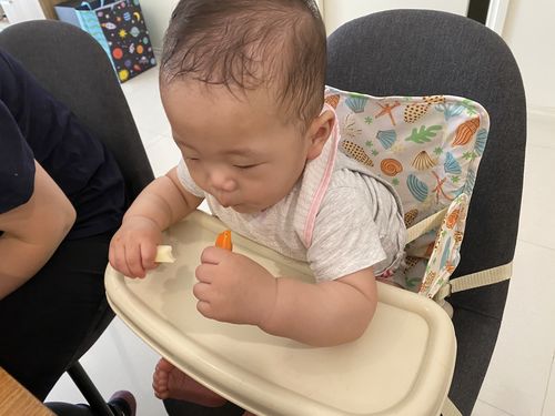 Customer photo review of Sailor baby chair v2