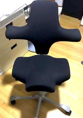 Customer photo review of Capisco Saddle