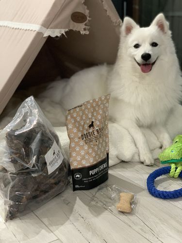 Customer photo review of Puppy Chews