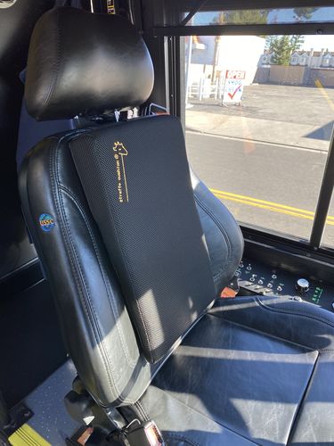 Customer photo review of Giraffe Cushion