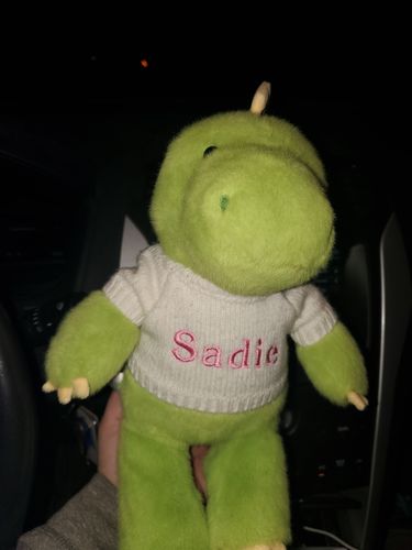 Customer photo review of Eddy the Dino - Personalized