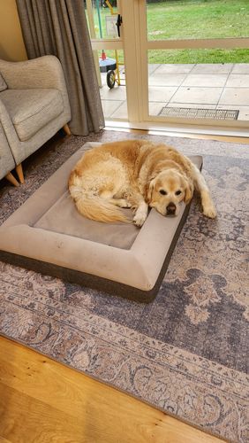 Customer photo review of Orthopaedic Memory Foam Bed