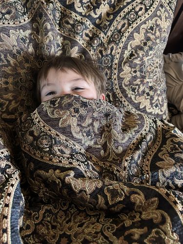 Customer photo review of Jordan Chocolate 4-Piece Comforter Set By J Queen