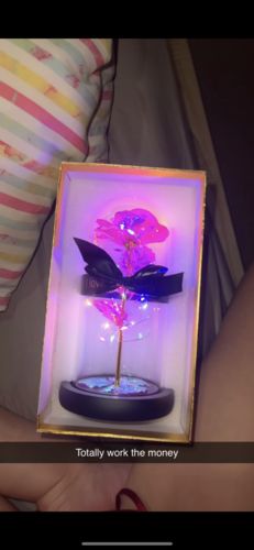 Customer photo review of Pink LED Rose Dome