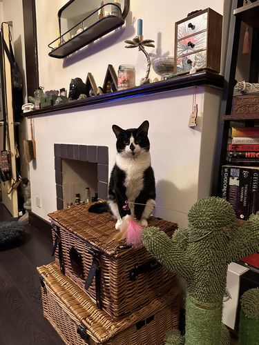 Customer photo review of VIP Platinum Candle Club - 2 Large Jar Candles Auto renew (Ships every 1 Months)