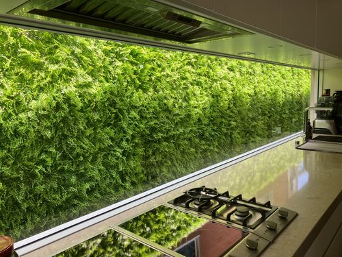 Customer photo review of Sample - Dense Fern Artificial Vertical Garden (25cm x 25cm)