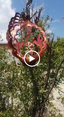 Customer video review of Anillo de viento Pareja de Colibris