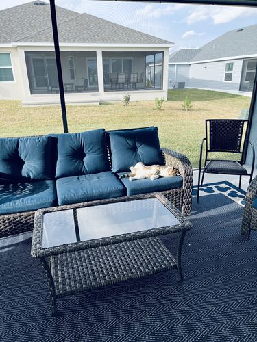 Customer photo review of Pre-order Christmas Lights