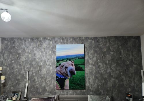 Customer photo review of "110x70" Custom Design Glass Wall Art