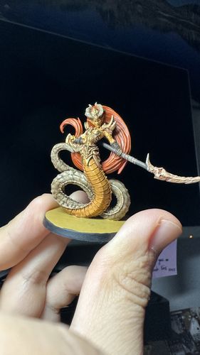 Customer photo review of Aratrix, NgS (LE - F)