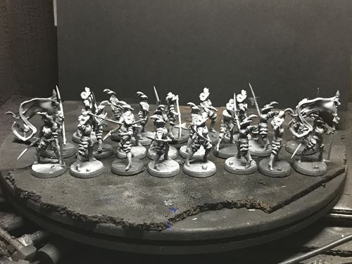 Customer photo review of City Militia Troops (Imperial - F)