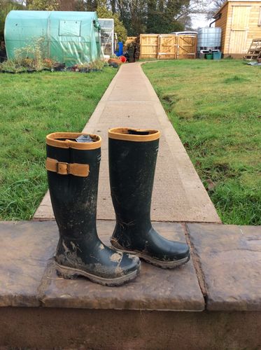 Customer photo review of Hatfield Wellingtons Taupe
