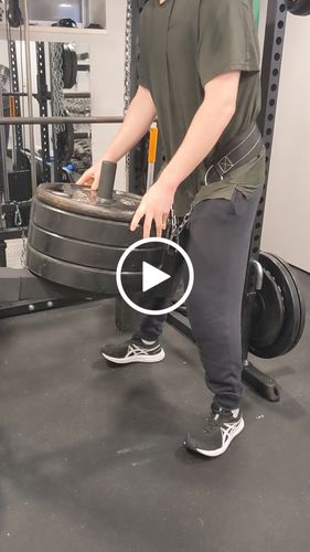 Customer video review of Belt squat attachment