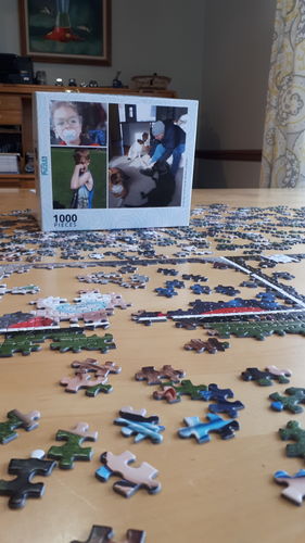 Customer photo review of 1000 Piece Collage Photo Puzzle