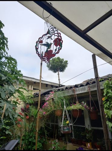 Customer photo review of Anillo de viento Colibri