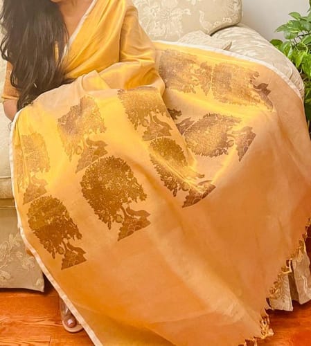 Customer photo review of Nitara (Saree + Printed Blouse Piece)