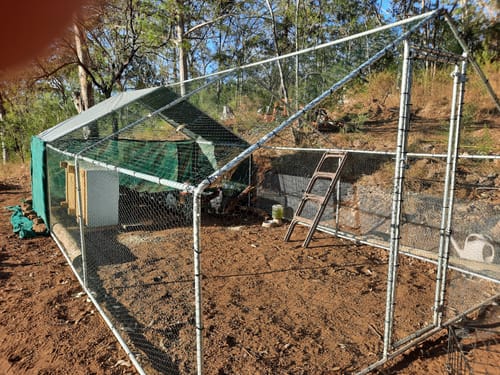 Customer photo review of Chicken coop