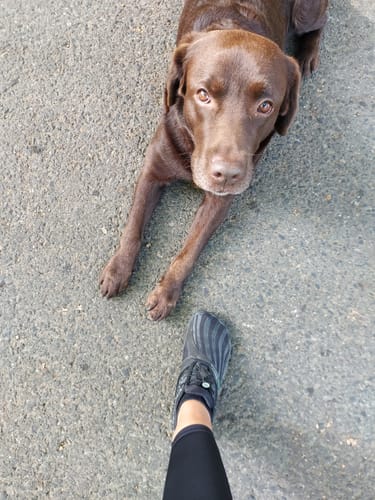 Customer photo review of Damen Barfußschuhe Chaser Vitality Ⅰ