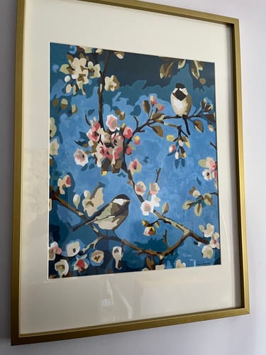 Customer photo review of Siesta