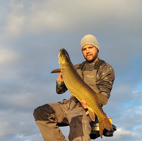 Customer photo review of RockerHead Dive Stinger