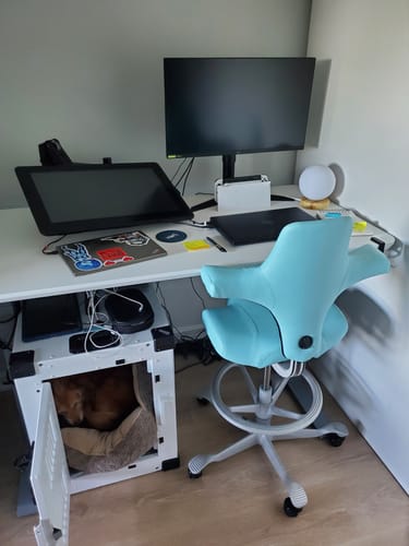 Customer photo review of Capisco Saddle