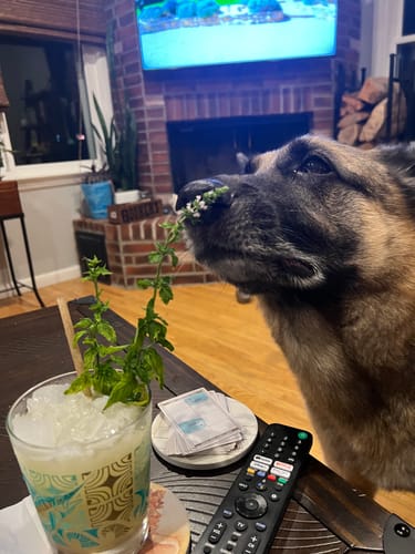 Customer photo review of Creole Orgeat