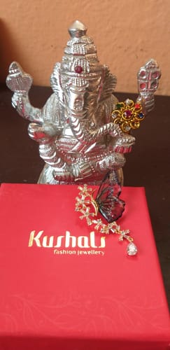 Customer photo review of Trendy Brooch 164733