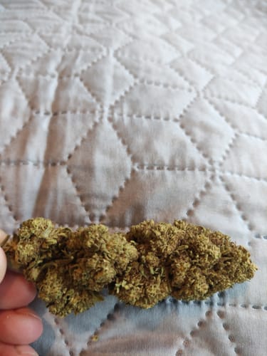 Customer photo review of White Widow - cbd 12% - Big buds