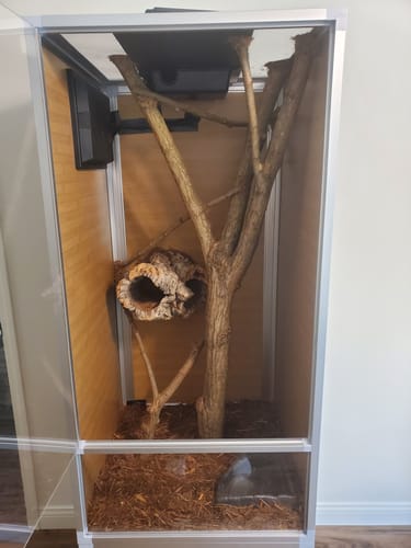 Customer photo review of 2'x2'x4' Meridian PVC Reptile Enclosure
