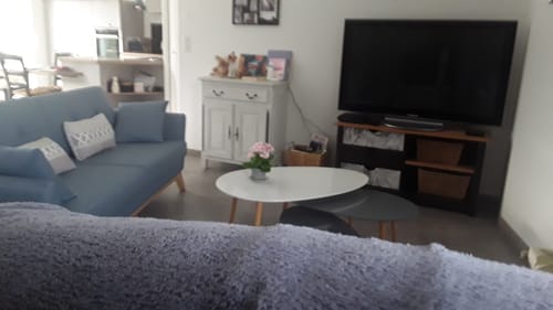 Customer photo review of HOGA