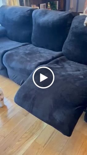 Customer video review of 3 Seater Recliner Covers