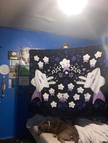 Customer photo review of Star Babies Throw Blanket