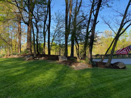 Customer photo review of In Store GCI Turf Cool Blue Grass Seed